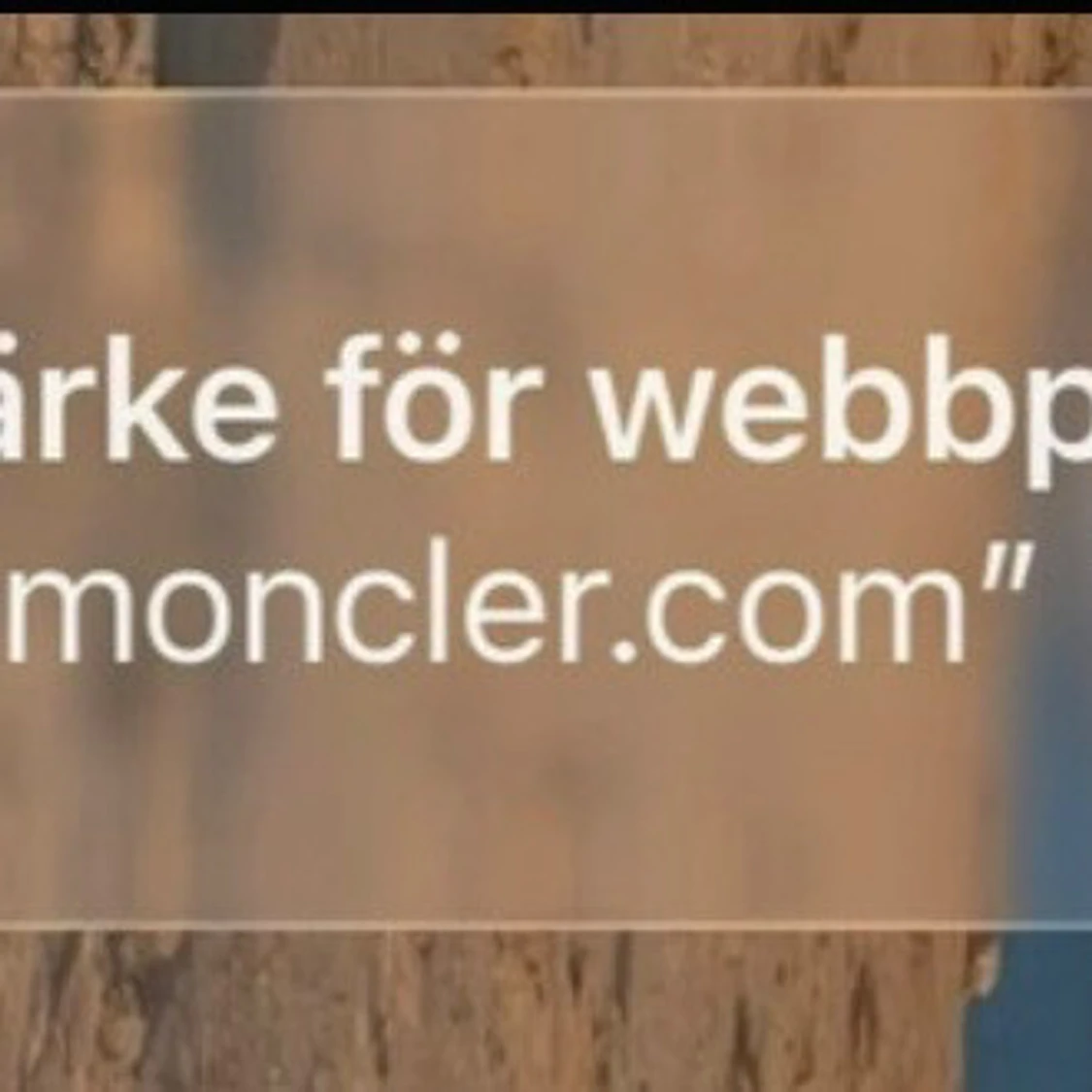 Moncler cardigan - 2