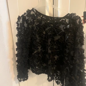 Svart volangblus med transparent tyg - Supersnygg svart blus med transparent mesh och massor av volangdetaljer över hela toppen. Långärmad och perfekt för dig som vill sticka ut med en unik och trendig look. Ger en cool och lyxig känsla till outfiten.