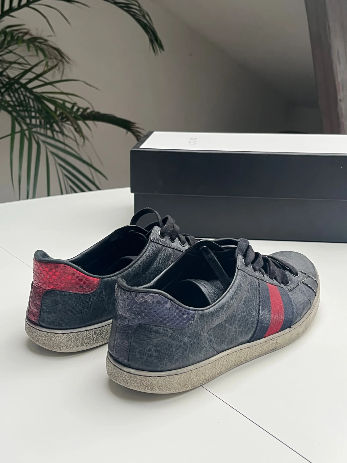 Gucci Ace - 2