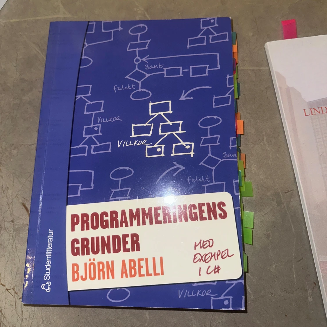 Programmeringens grunder - Björn Abelli