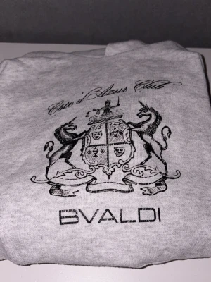 Grå långärmad hoodie från BVALDI - Snygg grå hoodie från BVALDI med svart tryck framtill som visar ett stilrent vapensköld-motiv och texten 'Côte d’Azur Club'. Hoodien har magficka och mjukt material som känns skönt mot huden. Perfekt till jeans för en chill look.