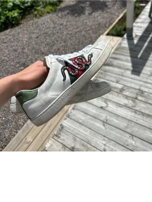 Gucci ace snake - Bra skick på skorna, köpte i somras! Självklart äkta! Bilder e tagna när jag fick dem men ser liknade ut bara att sulen är lite mer sliten! Ska vara uk7 men passar allt från 41-43