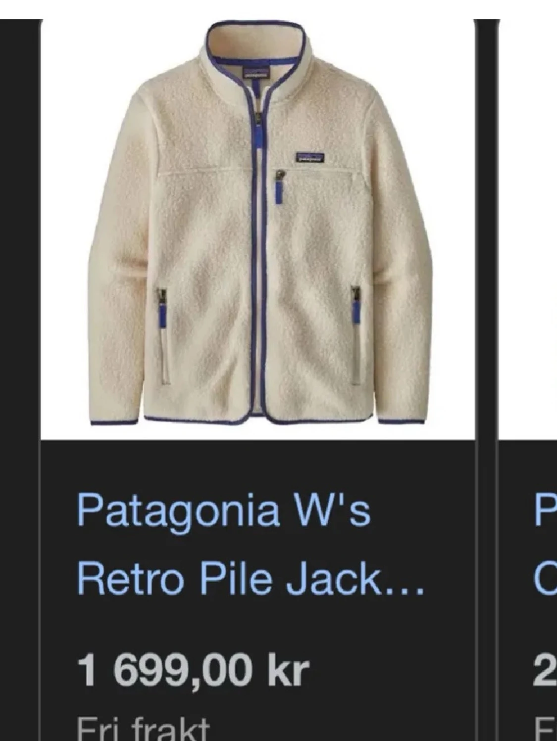 Patagonia fleece - 1