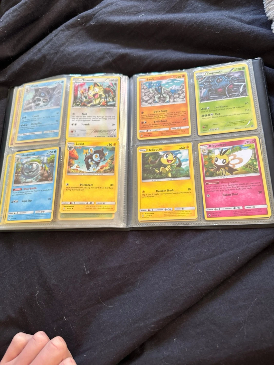 Pokéom kort och pärm - 2