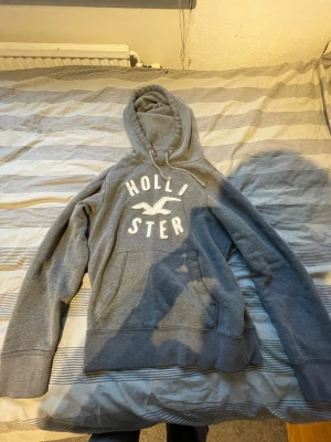 Grå hoodie från Hollister - Snygg grå hoodie från Hollister med stor logga och fågeltryck på bröstet. Klassisk känguruficka framtill och justerbar huva.   Pris kan diskuteras 