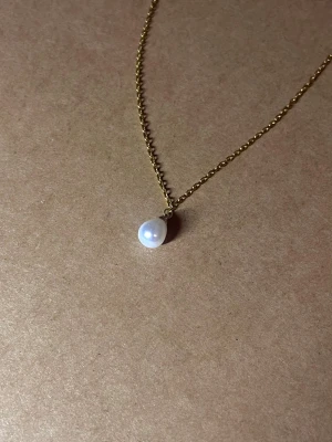 Stillwater Drop - Halsband i rostfritt stål med ett droppformat pärlhänge.