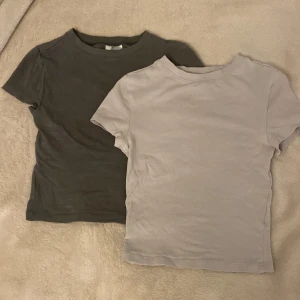 Två basic t-shirts - Säljer två enkla t-shirts, en i mörkgrön och en i ljusbeige. Båda har rund halsringning och korta ärmar, perfekta att matcha med jeans eller kjol. Säljer båda för 60kr
