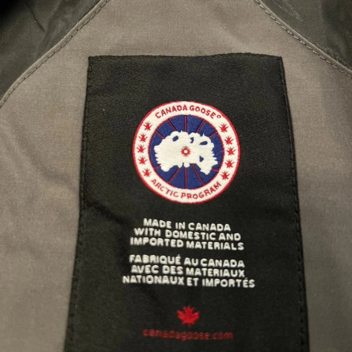 Grå canada goose - 2