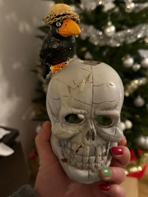 Kråka och huvudet  - , utan ett dekorativt föremål i form av en dödskalle med en fågel på toppen. 