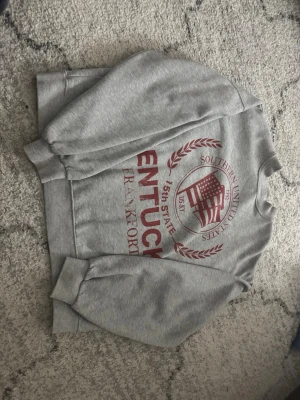 Mysig Hoodie från bershka. - Storlek L, använd men fortfarande gott skick.