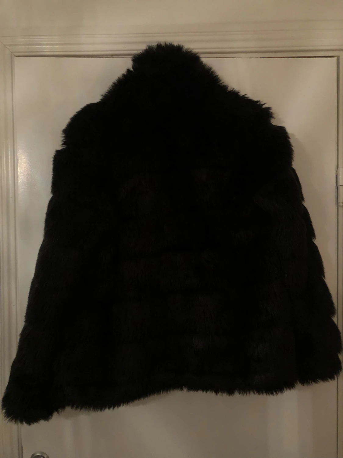 Jacka Nelly Trend  - 3