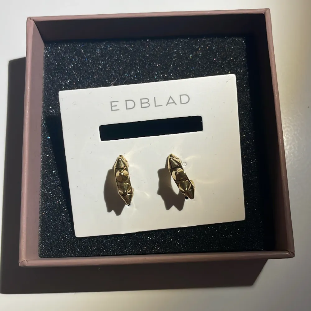 Ett par fina Edblad örhängen säljer på grund av att jag har två par. Accessoarer.