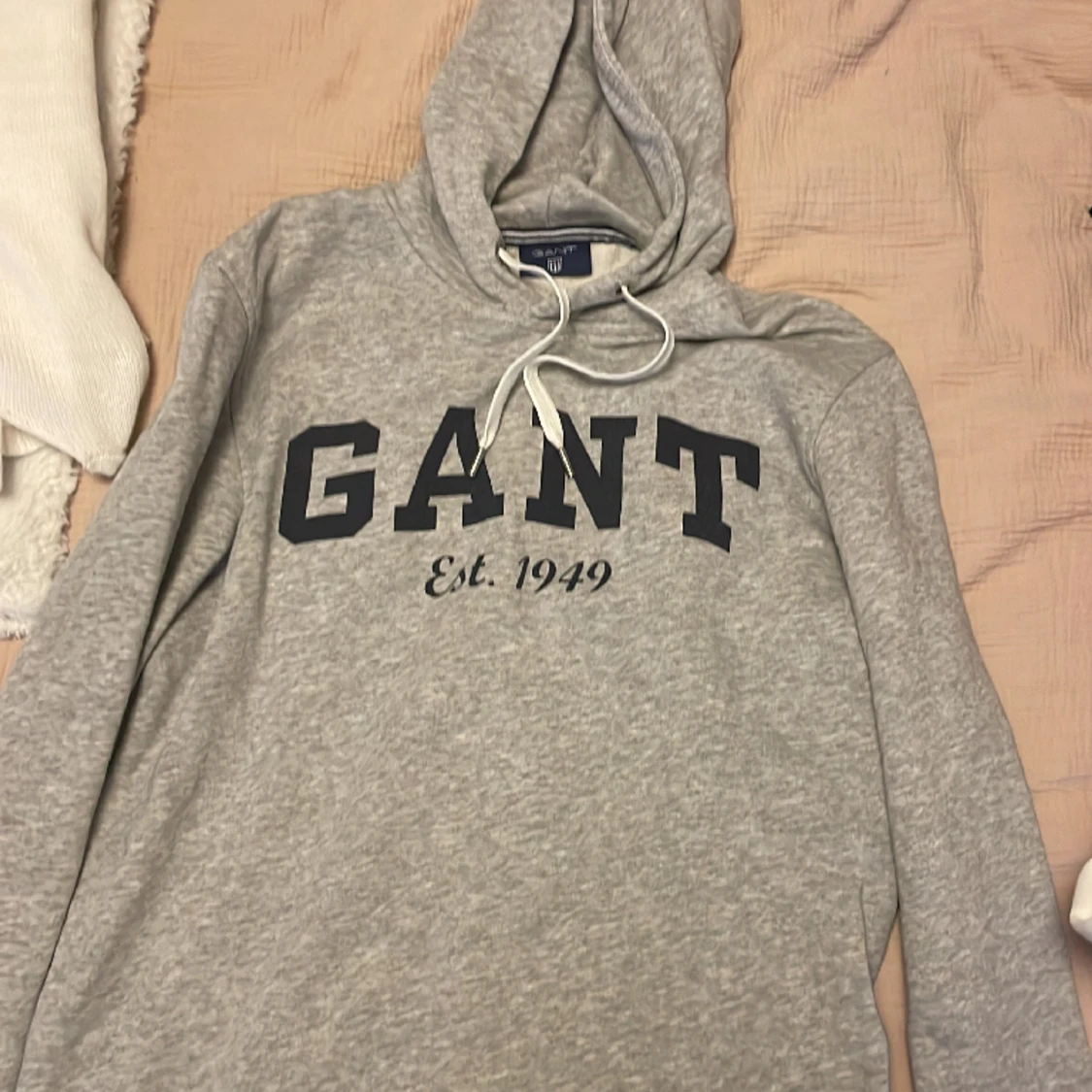 Gant hoodie