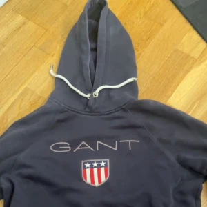 Gant tröja - Gant tröja som jag aldrig använder längre men använde ganska ofta innan, det finns ett litet hål i den och därför säljs den billigt, skick: 5/10 lite små fläckar och Ey litet hål 