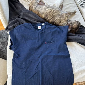 Levis tshirt  - Säljer Levis t shirt som är väldigt fin och passar bra. Säljer pågrund ingen användning. Sitter bra och ganska brett. 