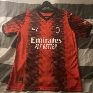 Ac Milan 2023/2024 - Helt ny Ac Milan tröja i bra skick. Pris kan diskuteras.