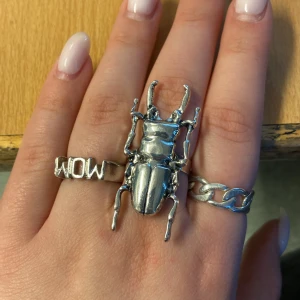 Silvrig skalbagge ring - Fin justerbar ring i silver