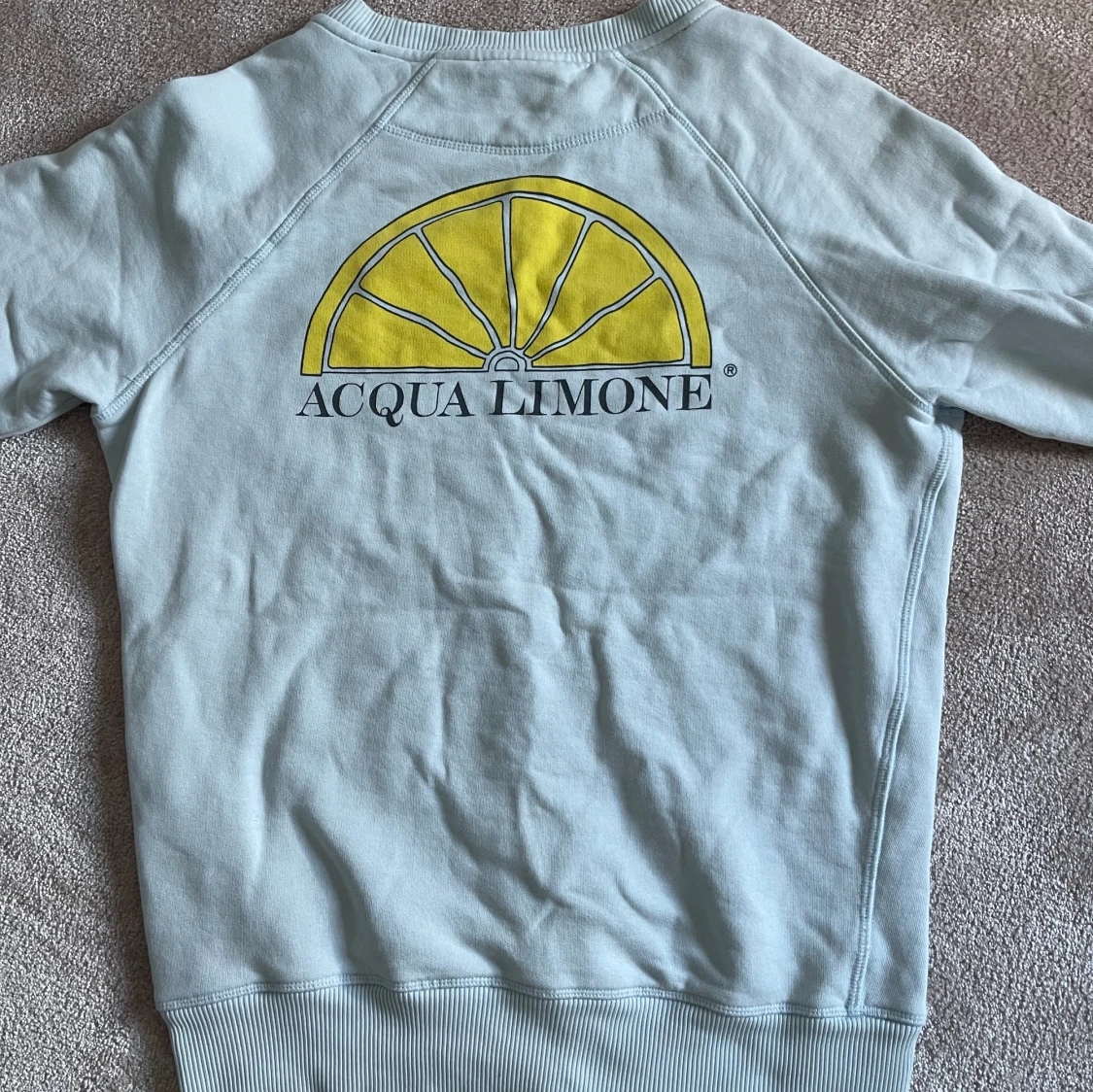 aqua lemone sweatshirt - 91