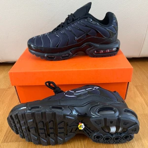 Nike TN - Svarta Nike TN 🔗 Storlek 42 🔗 Perfekt/Som nya 🔗 ❗️OBS: Box fås inte med❗️