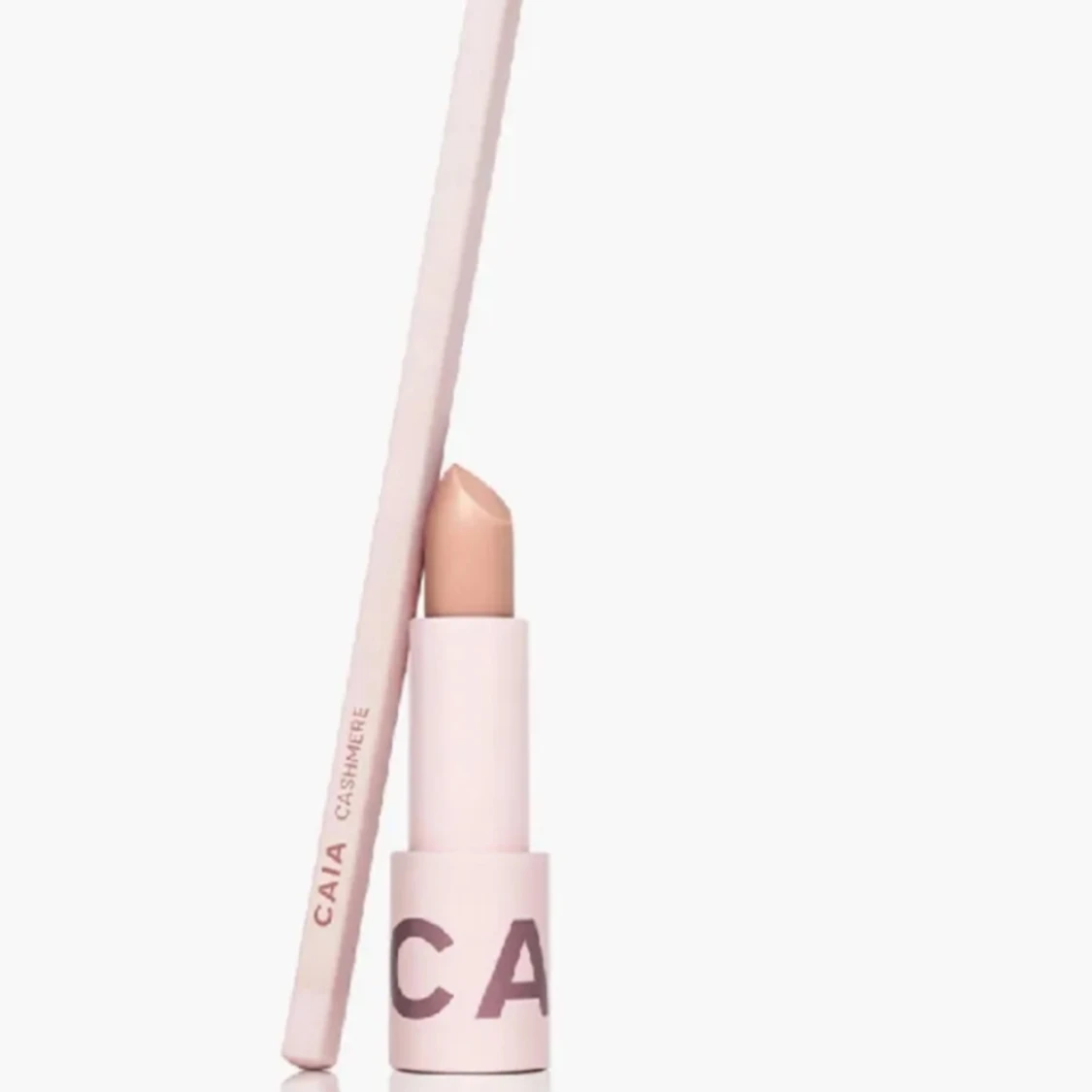 Söker denna läppennan