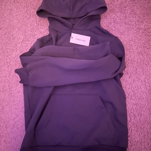 Holzweiler hoodie - Tröjan är aldrig använd, köpte den för något år sen men har inte använt den. Den kostar 1922 kr ny. Det är storlek S.