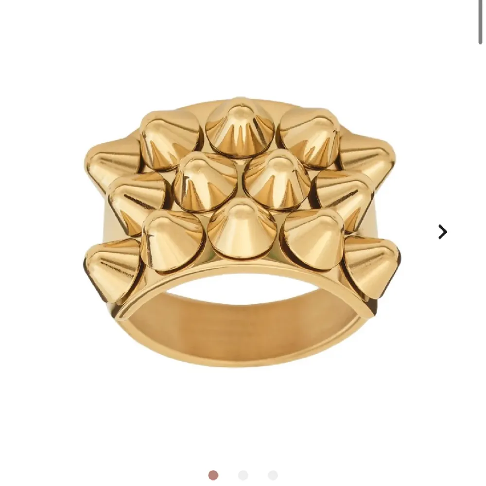 Säljer min populära och fina Edblad ring i guld med nitar, storleken är L/ 18.50mm💕💕. Accessoarer.