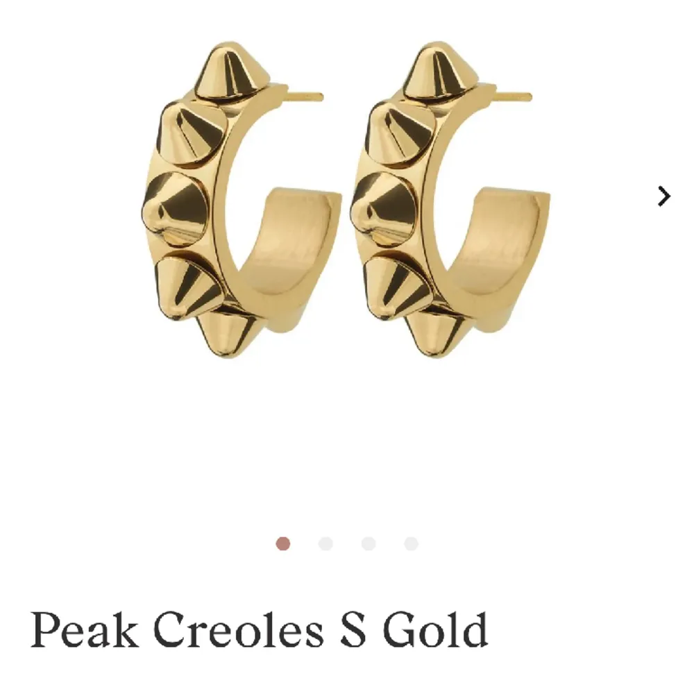 Säljer dessa jätte fina örhängen från Edblad ” Peak Creoles S Gold ”💘 Helt nya!!. Accessoarer.