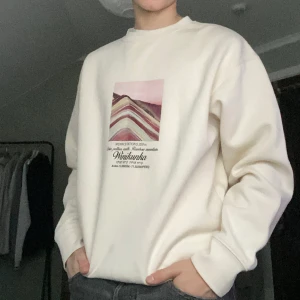 Sweatshirt  - Riktigt snygg och skön tröja från pull and bear i väldigt bra skick bara o skriva om ni har funderingar.