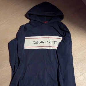 Helt ny Gant Hoodie - Säljer min Helt nya Gant tröja pga inte min stil direkt, fick den som present. Köp gärna🤗