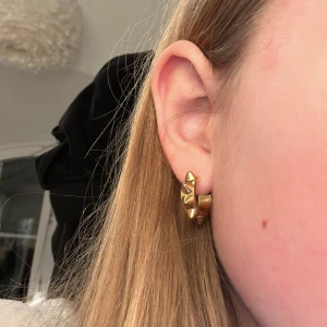 Edblad örhängen guld  - Edblad guld spik örhängen. Fint skick och kommer med påse.Ordenarie pris 350