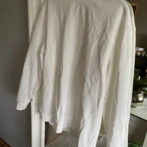 Sweatshirt Zara - Sweatshirt Stlrk L 199kr Kan strykas vid intresse  Zara Men
