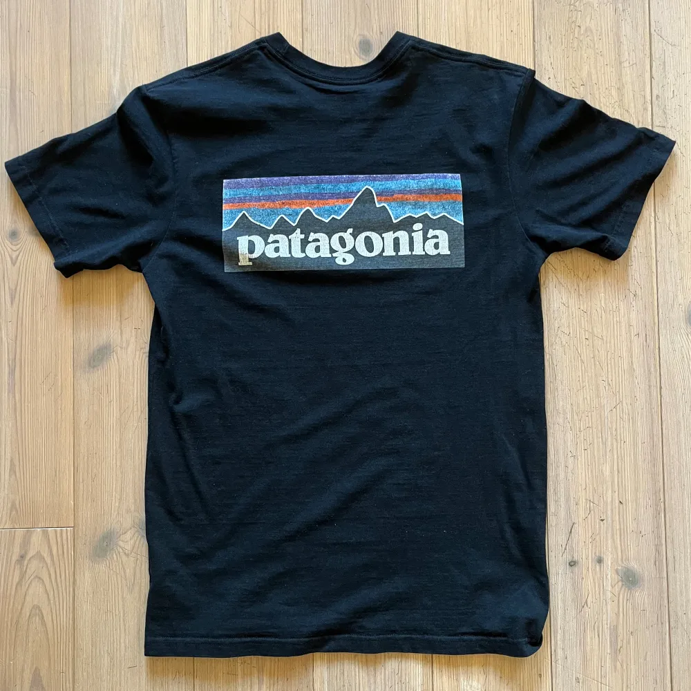 Svart patagonia tisha i storlek S, använt men bra skick . T-shirts.