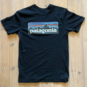 Patagonia T-shirt S - Svart patagonia tisha i storlek S, använt men bra skick 