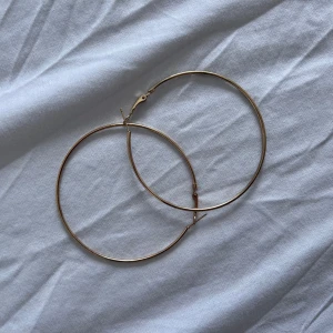 Örhänge  - Köpte för 250kr