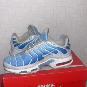 Tn skor - Ett par tvärfina tn skor i en unik och fin färgkombination. Använda ett fåtal gånger men inga stora skador, endast smutsiga under sulan.