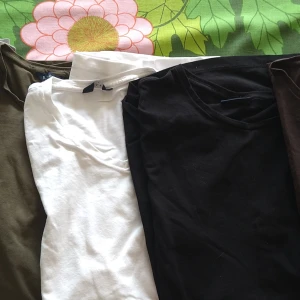 T-shirt Riley - T-shirt, Riley från brothers  Storlek M Slimfit Nästa nya eller helt ny Grå, Grön, Vit, Svart och Brun  70:-/st