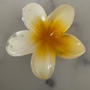 Hair clips  - Passar perfekt till sommaren 