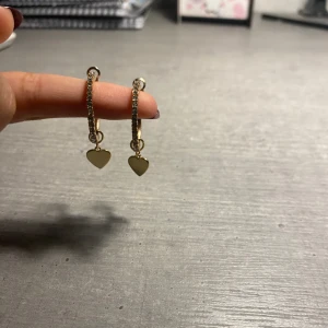 Örhängen  - Aldrig använt Köpta för 150kr