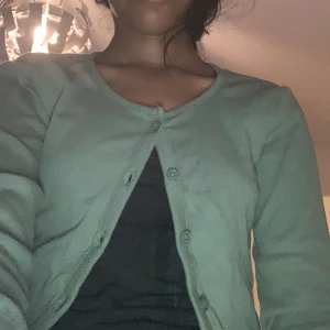  En grön skjorta  - Den är jätte fin