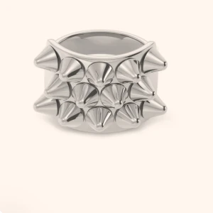 Ring med nitar från Edblad  - Säljer denna ring ifrån Edblad. Den är i storlek M (17,5 mm i diameter). Nypris 400 kr.