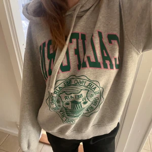 Hoddie - En skitsnygg grå hoddie från Zara🌸