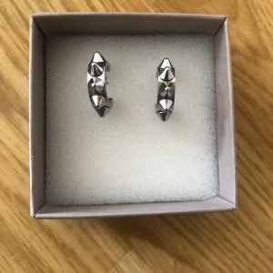 Edblad örhängen - Jag säljer denna Edblad örhängerna, då jag tycker inte längre om dom och känner att de inte passar ritkigt mig. Nypris 350kr  