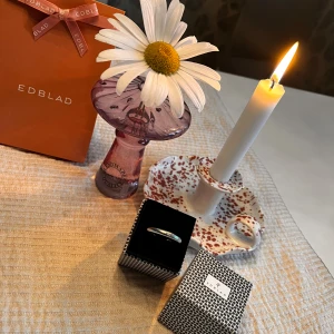Ring Edblad  - Ring från Edblad den är i stål och har en strass i mitten av ringen  Fint skick, vill du att den kommer i en Edblad låda kostar det 15kr extra + frakt