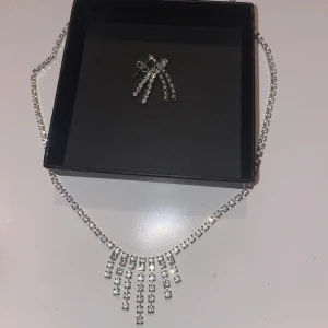 Smyckeset  - Örhänge och halsbandset.  Använda någon enstaka gång