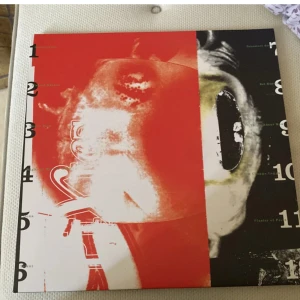 Vinyl skiva  - Pixiws vinyl skiva köptes för 600kr och säljs för 300kr men priset kan diskuteras, den är helt ny! 