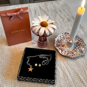 Edblad set - Örhängen och Halsband  från Edblad stämpel finns.  Kedjan i stål och stjärna Rosé I mkt fint skick. Om ni vill att vi skickar smycket i en Edblad låda kostar det 15 kronor extra + frakt