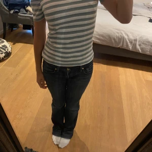 Grön och vit tröja -  en skön grön och vit randig t-shirt med silverlinjen och puffiga armar 