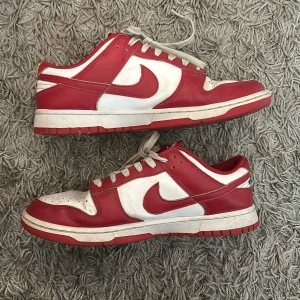 Nike dunks - Säljer nu mina dunks som är använda i hyfsat bra skick, dom är använda i en sommar och använder dom inte längre 