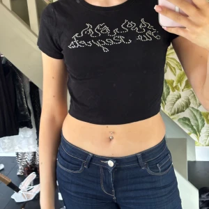 T-shirt med stenar - Från New yorker, de flesta stenar är kvar