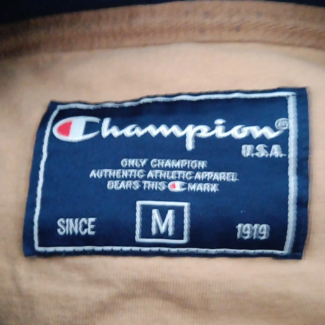 Champion tröja  - 91